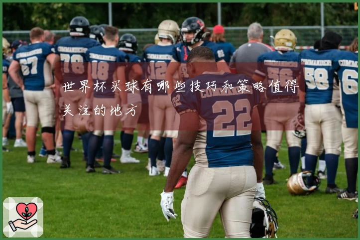 世界杯买球有哪些技巧和策略值得关注的地方