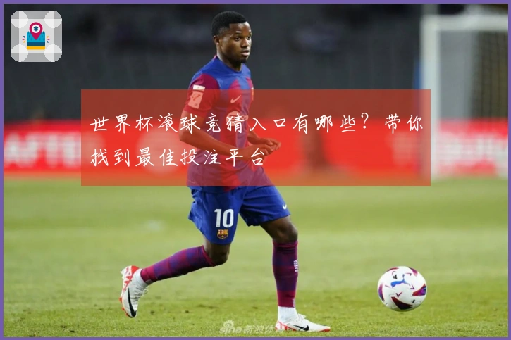 世界杯滚球竞猜入口有哪些？带你找到最佳投注平台