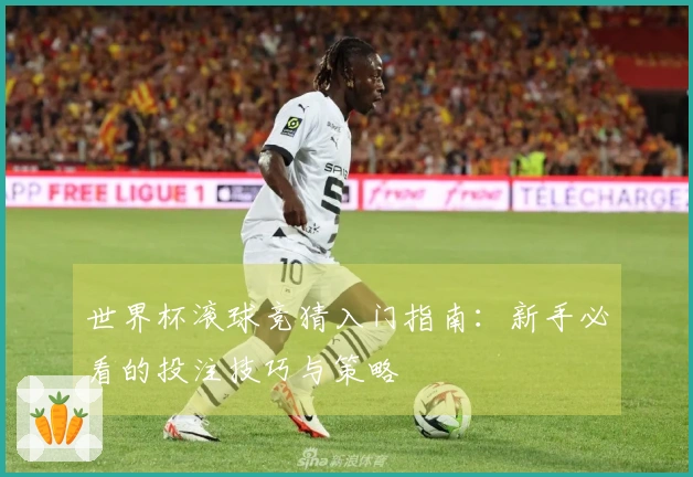 世界杯滚球竞猜入门指南：新手必看的投注技巧与策略